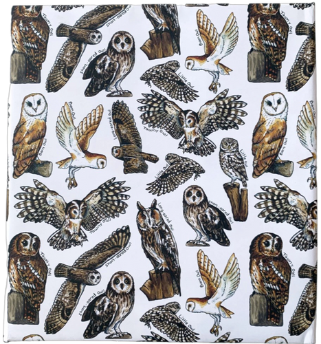 Owl Wrapping Paper (Two folded sheets & two tags)