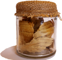 Load image into Gallery viewer, A Jar of Aigas Beaver Chips