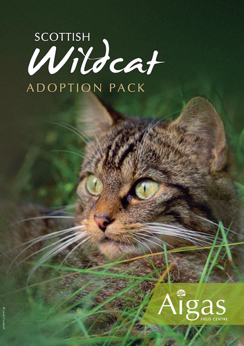 Adopt a Wildcat