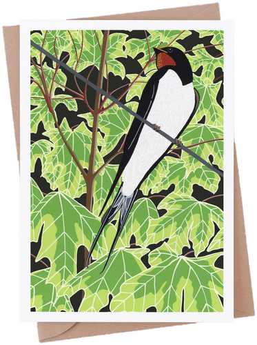 Swallow Card