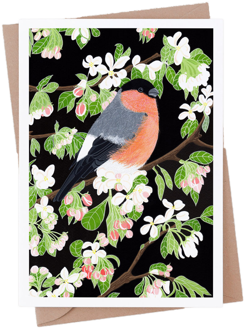 Bullfinch Card