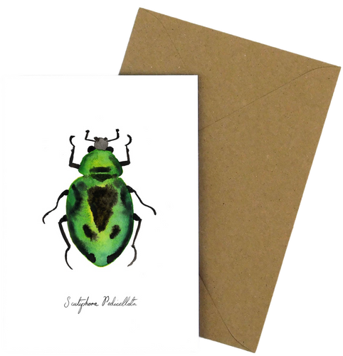 Green Beetle Greetings Card