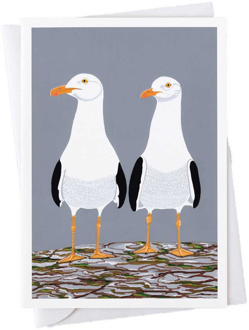 Herring Gulls Card