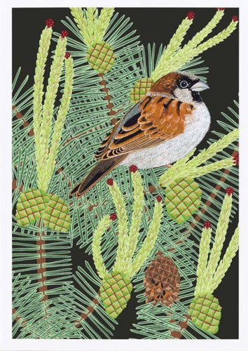 House Sparrow Card