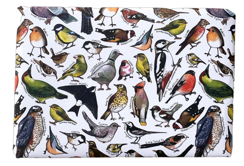 Garden Birds Wrapping Paper (Two folded sheets & two tags)