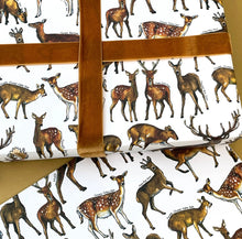 Load image into Gallery viewer, Deer of Britain Wrapping Paper (Two folded sheets &amp; two tags)