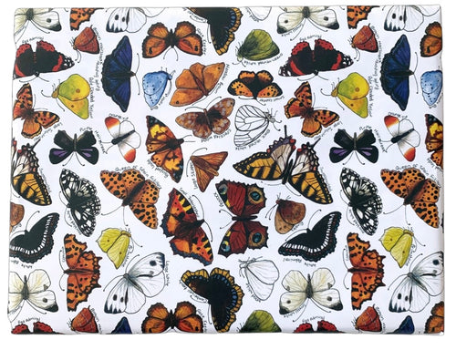Butterflies Wrapping Paper (Two folded sheets & two tags)