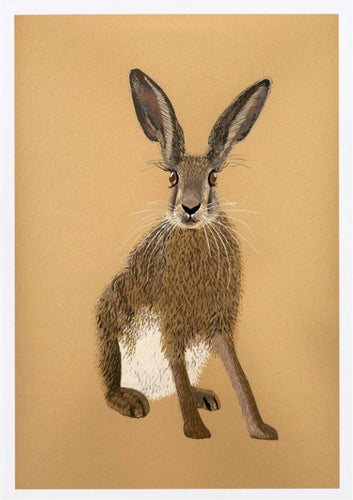 Brown Hare Card