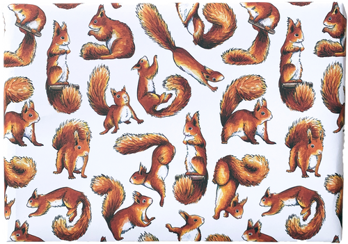 Red Squirrel Wrapping Paper (Two folded sheets & two tags)